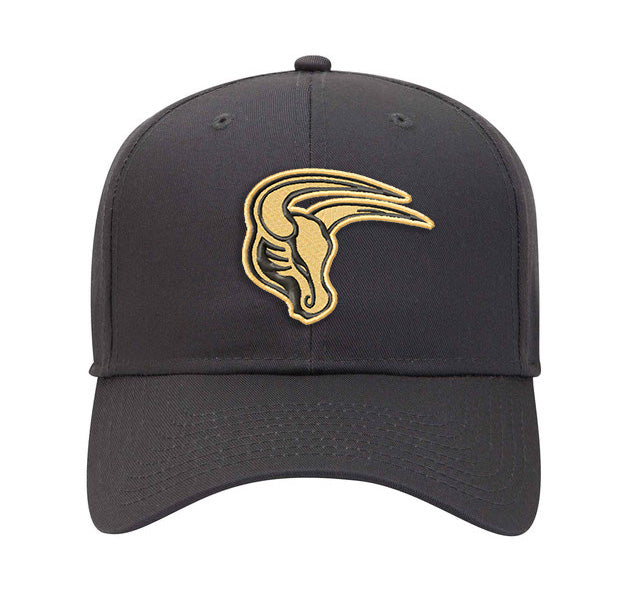 MSIS PTO-Maverick Poly/Cotton Twill Hat (structured, mid-profile) with Snap Closure (4 Color Options, 2 Mav Options_