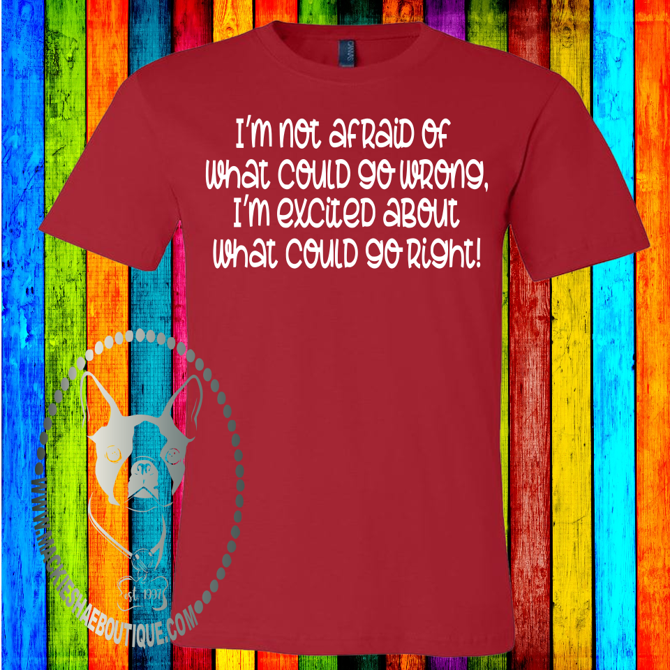 I'm Not Afraid of What Could Go Wrong....  Custom Shirt, Soft Short Sleeve (Youth and Adult)