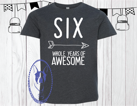 SIX Whole Years of Awesome Arrow Custom Shirt for Kids (get any number), Short Sleeve